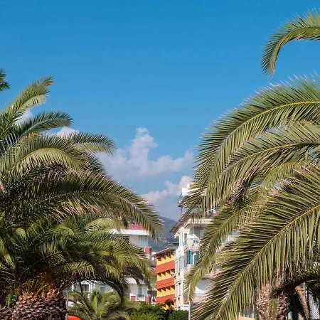 клеопатра Aura 4 Alanya